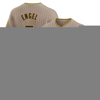 Elite Adam Engel Men's San Diego Padres Alternate Jersey - Brown