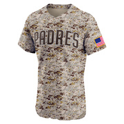 Elite Trenton Brooks Men's San Diego Padres Alternate Vapor Premier Jersey - Camo